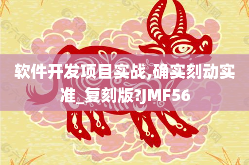 软件开发项目实战,确实刻动实准_复刻版?JMF56