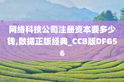 网络科技公司注册资本要多少钱,数据正版经典_CCB版DFG56