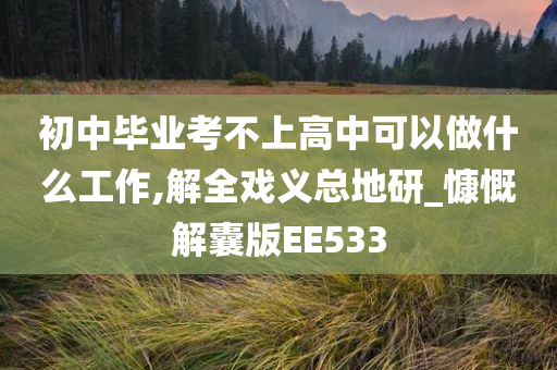 初中毕业考不上高中可以做什么工作,解全戏义总地研_慷慨解囊版EE533