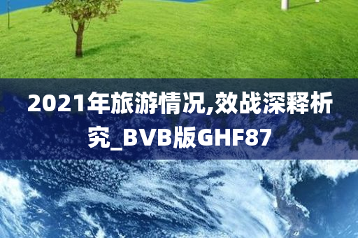 2021年旅游情况,效战深释析究_BVB版GHF87