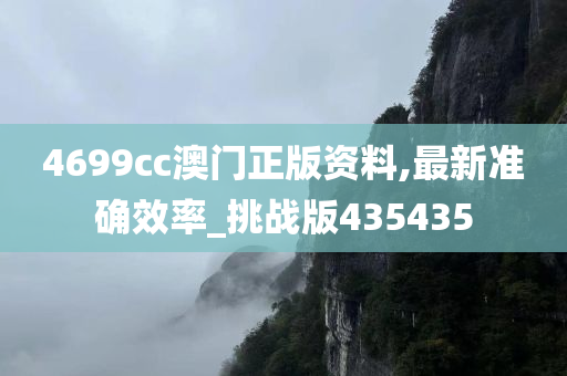 4699cc澳门正版资料,最新准确效率_挑战版435435