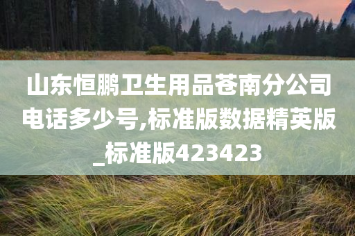 山东恒鹏卫生用品苍南分公司电话多少号,标准版数据精英版_标准版423423