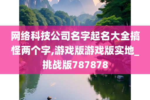 网络科技公司名字起名大全搞怪两个字,游戏版游戏版实地_挑战版787878