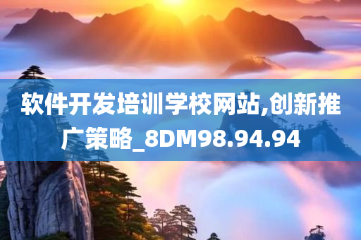 软件开发培训学校网站,创新推广策略_8DM98.94.94