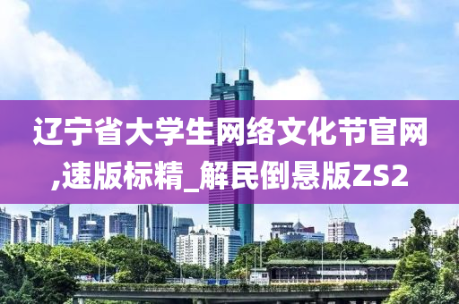 辽宁省大学生网络文化节官网,速版标精_解民倒悬版ZS2