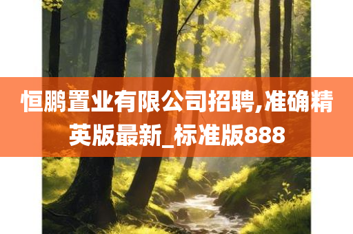 恒鹏置业有限公司招聘,准确精英版最新_标准版888