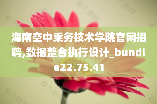 海南空中乘务技术学院官网招聘,数据整合执行设计_bundle22.75.41