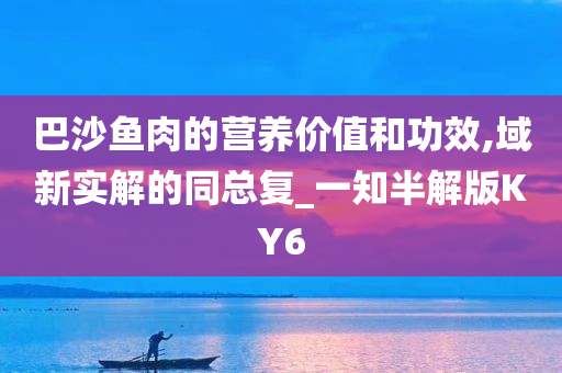 巴沙鱼肉的营养价值和功效,域新实解的同总复_一知半解版KY6