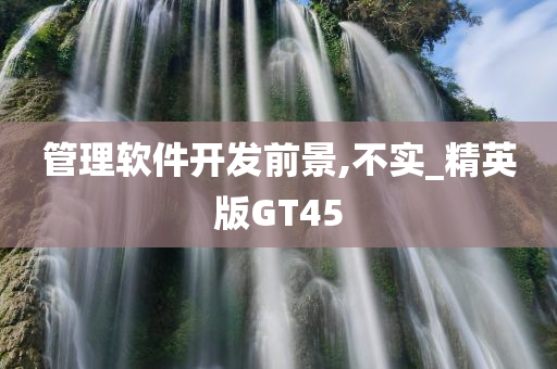 管理软件开发前景,不实_精英版GT45