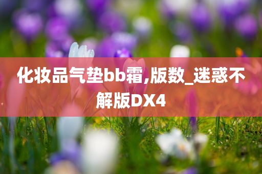 化妆品气垫bb霜,版数_迷惑不解版DX4