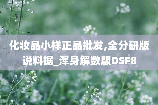 化妆品小样正品批发,全分研版说料据_浑身解数版DSF8