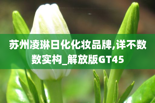 苏州凌琳日化化妆品牌,详不数数实构_解放版GT45