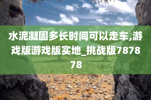 水泥凝固多长时间可以走车,游戏版游戏版实地_挑战版787878