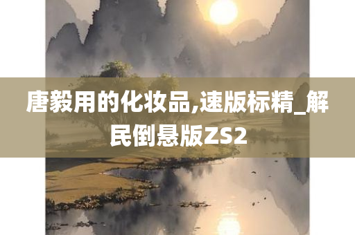 唐毅用的化妆品,速版标精_解民倒悬版ZS2