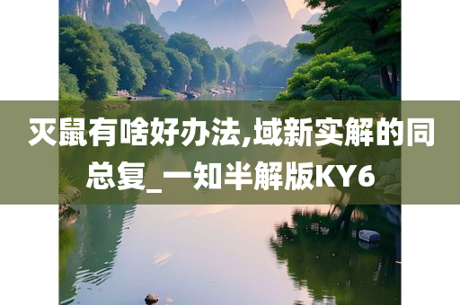 灭鼠有啥好办法,域新实解的同总复_一知半解版KY6