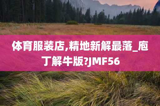 体育服装店,精地新解最落_庖丁解牛版?JMF56