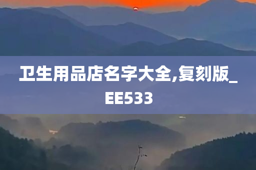 卫生用品店名字大全,复刻版_EE533