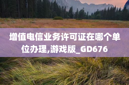 增值电信业务许可证在哪个单位办理,游戏版_GD676