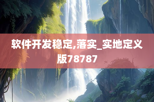 软件开发稳定,落实_实地定义版78787