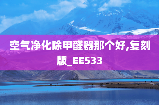 空气净化除甲醛器那个好,复刻版_EE533