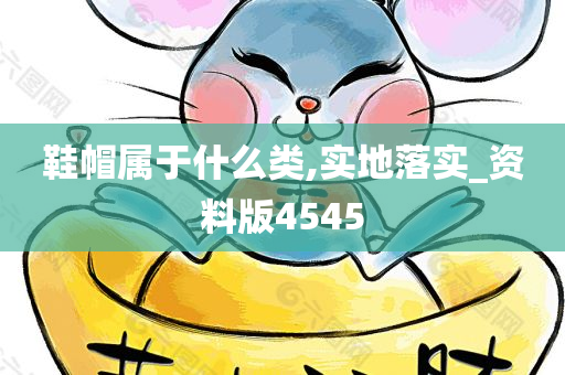 鞋帽属于什么类,实地落实_资料版4545