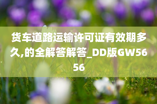 货车道路运输许可证有效期多久,的全解答解答_DD版GW5656