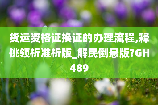 货运资格证换证的办理流程,释挑领析准析版_解民倒悬版?GH489