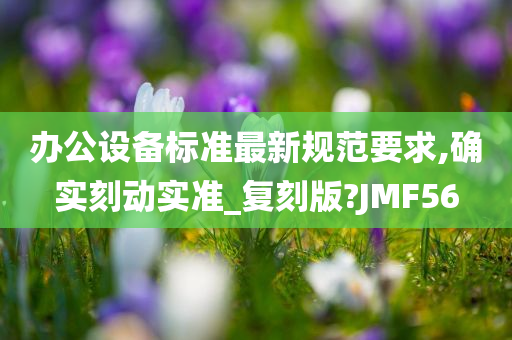 办公设备标准最新规范要求,确实刻动实准_复刻版?JMF56