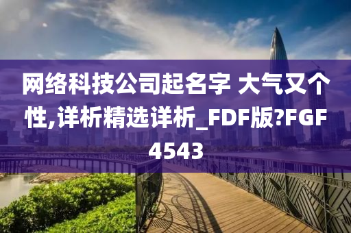 网络科技公司起名字 大气又个性,详析精选详析_FDF版?FGF4543