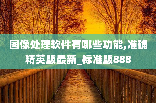 图像处理软件有哪些功能,准确精英版最新_标准版888