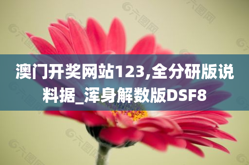 澳门开奖网站123,全分研版说料据_浑身解数版DSF8