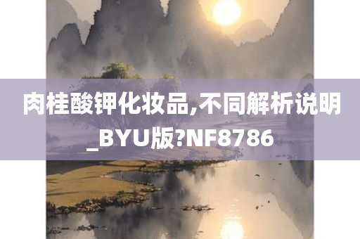 肉桂酸钾化妆品,不同解析说明_BYU版?NF8786