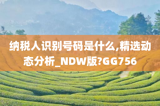 纳税人识别号码是什么,精选动态分析_NDW版?GG756