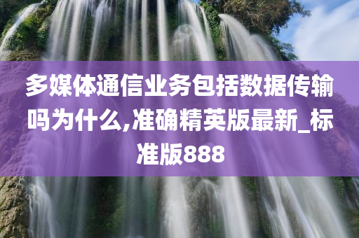 多媒体通信业务包括数据传输吗为什么,准确精英版最新_标准版888