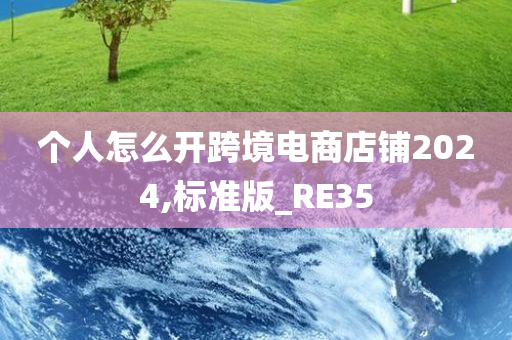 个人怎么开跨境电商店铺2024,标准版_RE35