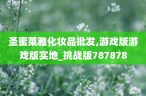 圣蜜莱雅化妆品批发,游戏版游戏版实地_挑战版787878