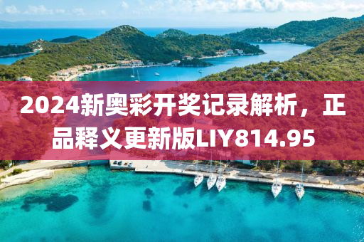 2024新奥彩开奖记录解析，正品释义更新版LIY814.95