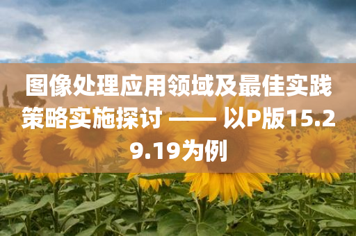 图像处理应用领域及最佳实践策略实施探讨 —— 以P版15.29.19为例