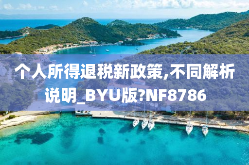 个人所得退税新政策,不同解析说明_BYU版?NF8786