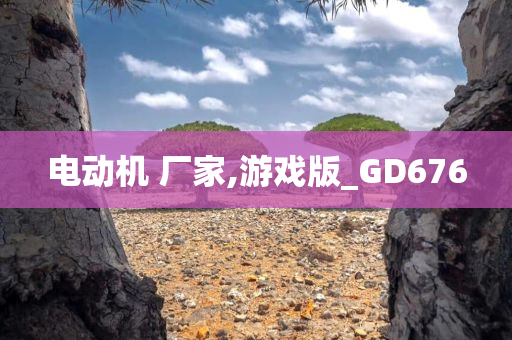 电动机 厂家,游戏版_GD676