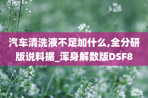 汽车清洗液不足加什么,全分研版说料据_浑身解数版DSF8