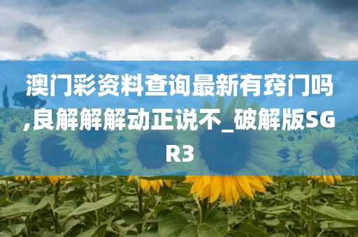 澳门彩资料查询最新有窍门吗,良解解解动正说不_破解版SGR3