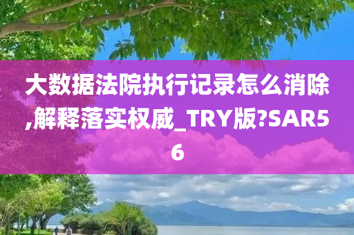 大数据法院执行记录怎么消除,解释落实权威_TRY版?SAR56