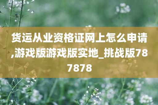 货运从业资格证网上怎么申请,游戏版游戏版实地_挑战版787878