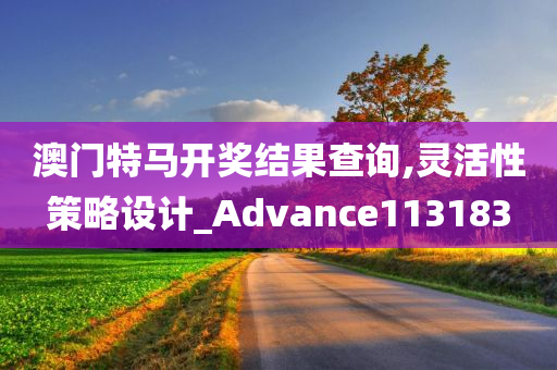 澳门特马开奖结果查询,灵活性策略设计_Advance113183