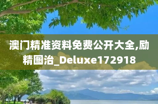 澳门精准资料免费公开大全,励精图治_Deluxe172918