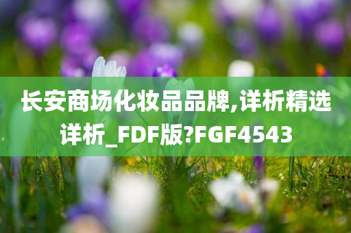 长安商场化妆品品牌,详析精选详析_FDF版?FGF4543