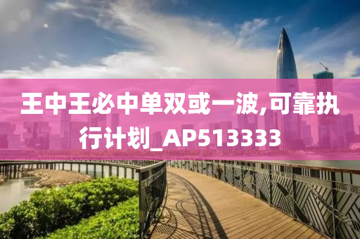 王中王必中单双或一波,可靠执行计划_AP513333