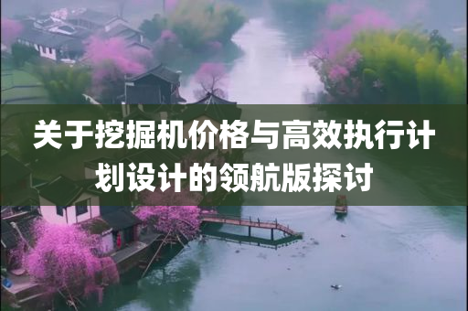 关于挖掘机价格与高效执行计划设计的领航版探讨