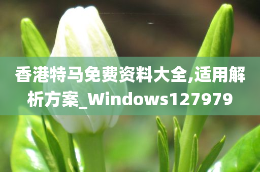 香港特马免费资料大全,适用解析方案_Windows127979